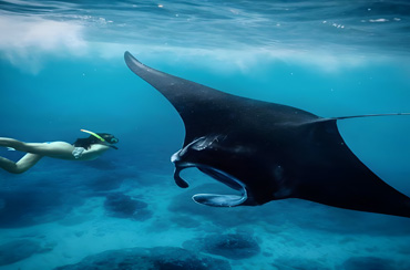 Nusa Penida Snorkeling